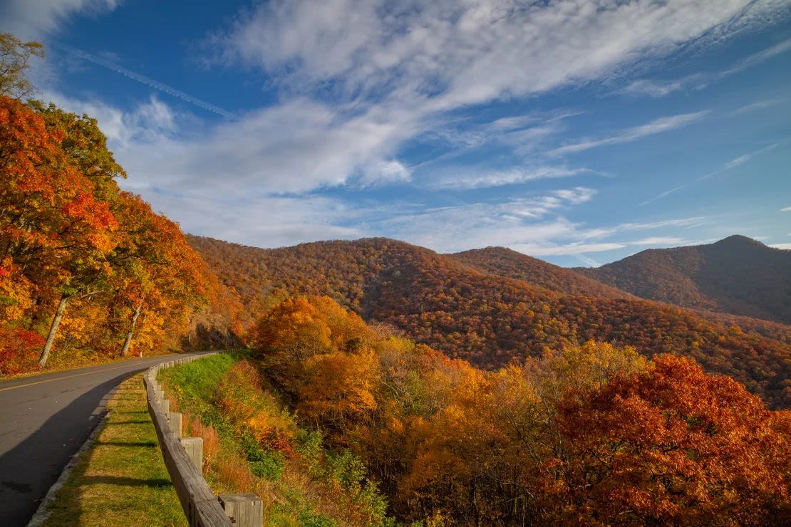 Un resplandor de color otoñal emerge de la ladera de la montaña Blue Ridge Parkway en Carolina del Norte. (Foto: Cindy Robinson/Momento RF/Getty Images).