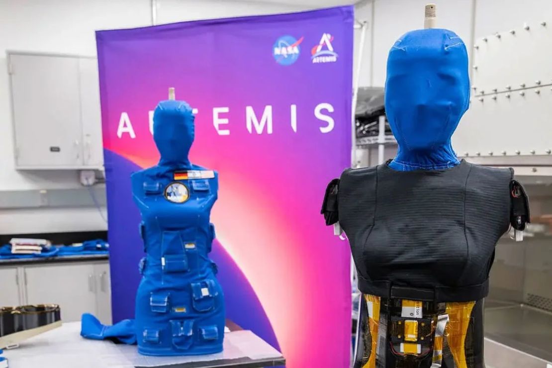 Mannequin torsos of Helga (left) and Zohar were returned to Earth by the Artemis I mission so researchers could see how much radiation they were exposed to. Zohar was wearing a protective vest. Credit: Courtesy of NASA.