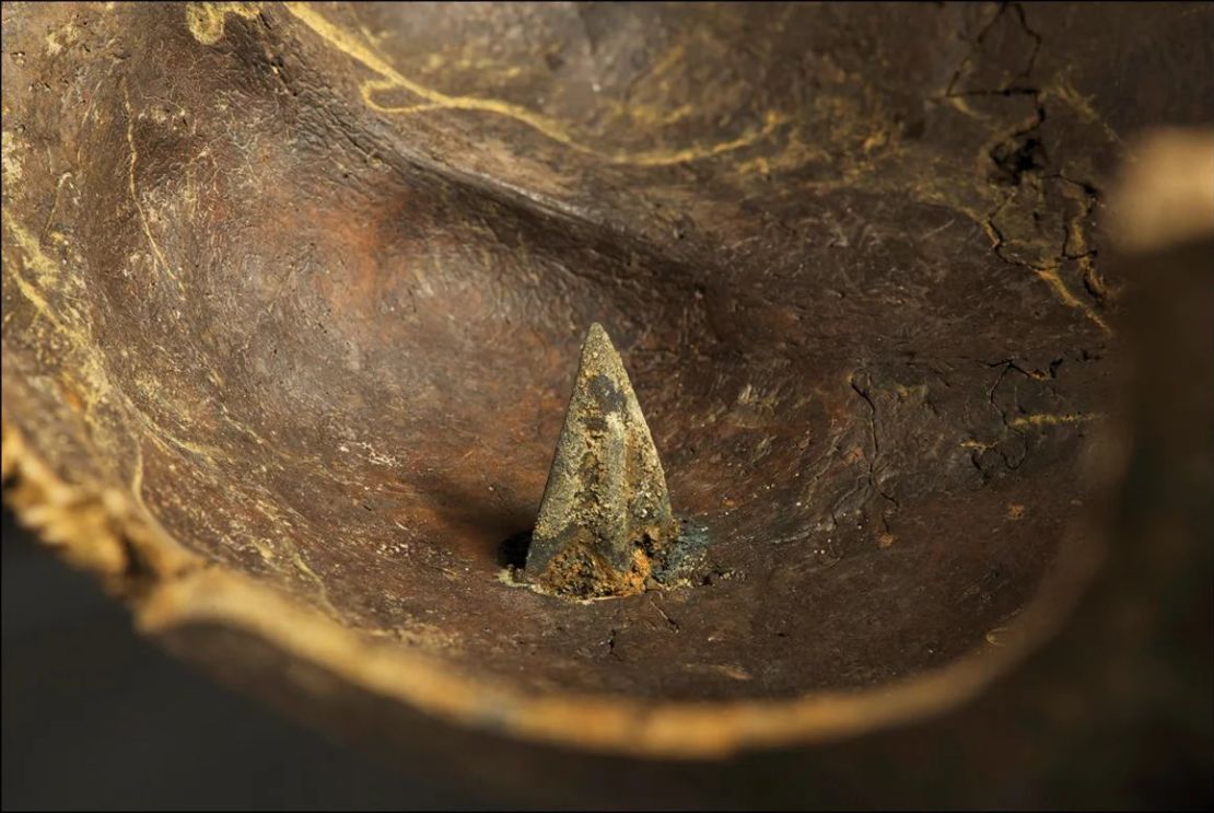 Un cráneo antiguo recuperado del yacimiento del Valle Tollense fue encontrado perforado con una punta de flecha de bronce. Crédito: Volker Minkus/Minkusimages.