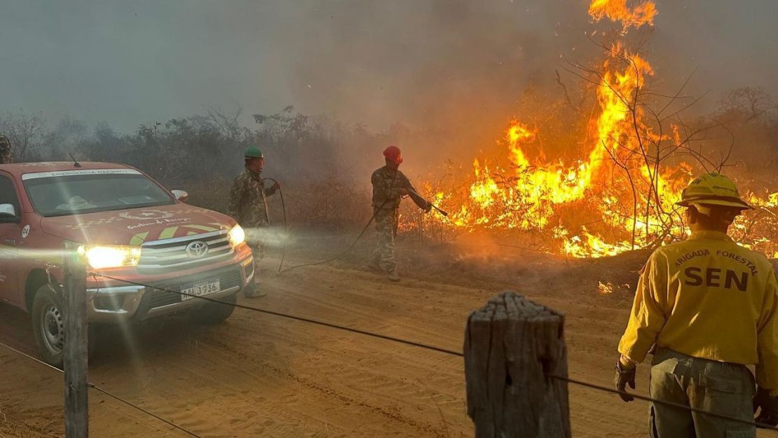 Cortesía del Instituto Forestal Nacional de Paraguay.