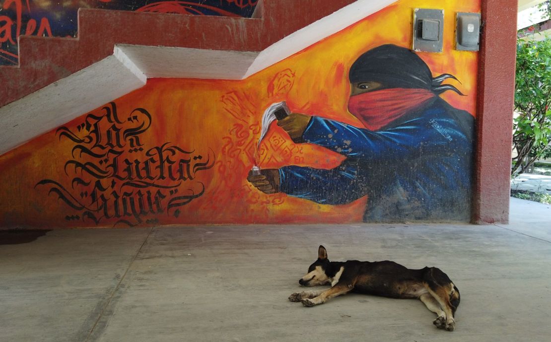 Decenas de perros viven en la normal rural de Ayotzinapa. Todos ellos son cuidados por quienes asisten a la escuela y viven en completa libertad. En esta foto, un perro descansa frente a una pinta que dice: "La lucha sigue".