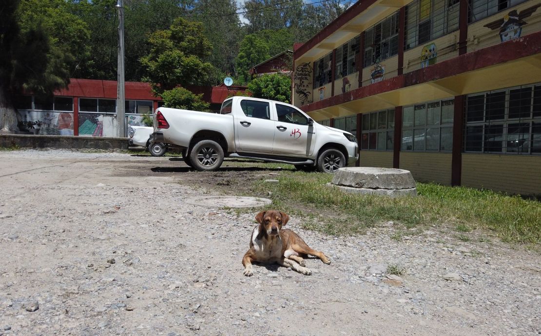 Otro perro descansa frente a un edificio de aulas en la normal rural de Ayotzinapa.