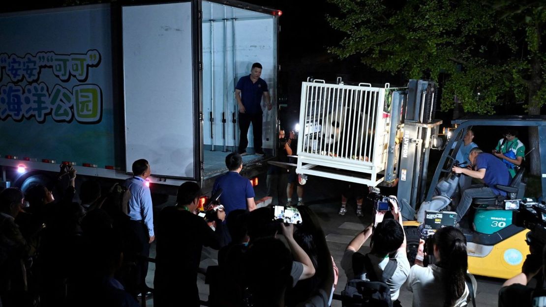 El panda gigante An An es cargado en un camión mientras los dos pandas gigantes se dirigen a Hong Kong, desde la base de pandas de Dujiangyan en la provincia de Sichuan, China, el 26 de septiembre de 2024.