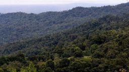 Vista del bosque protegido por la comunidad indígena Nairi Awari en Limón, Costa Rica, el 9 de noviembre de 2021. Crédito: BECERRA/AFP vía Getty Images