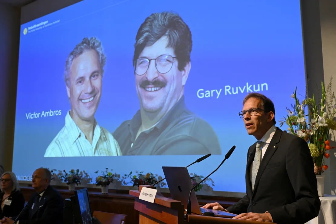 El Secretario General del Comité Nobel, Thomas Perlmann, habla con los medios frente a una imagen de los galardonados de este año, Victor Ambros y Gary Ruvkun, durante el anuncio de los ganadores del Premio Nobel de Medicina el lunes. Jonathan Nackstrand/AFP/Getty Images.