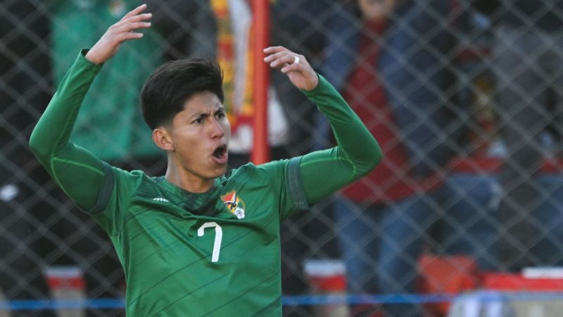 Bolivia beat Colombia 1-0 with a superb goal and allow themselves to dream of a return to the World Cup.