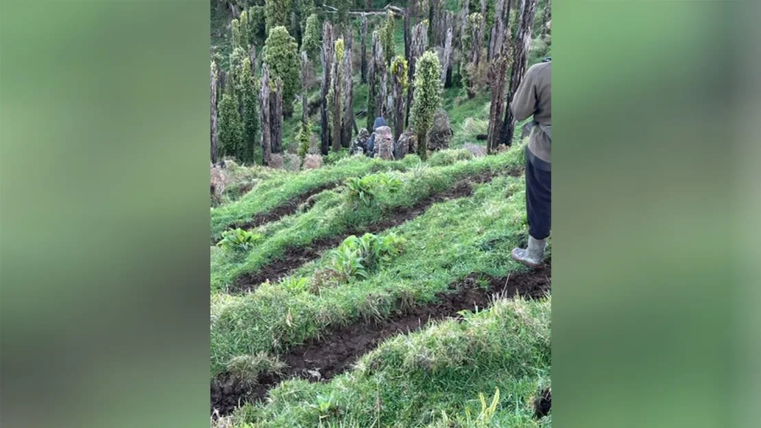 La policía dijo que las imágenes tomadas el 3 de octubre muestran un "avistamiento creíble" de la familia desaparecida en Marokopa, Nueva Zelanda.