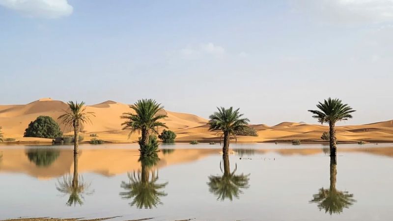 The Sahara Desert experienced flooding for the first time in decades. This is what it looks like