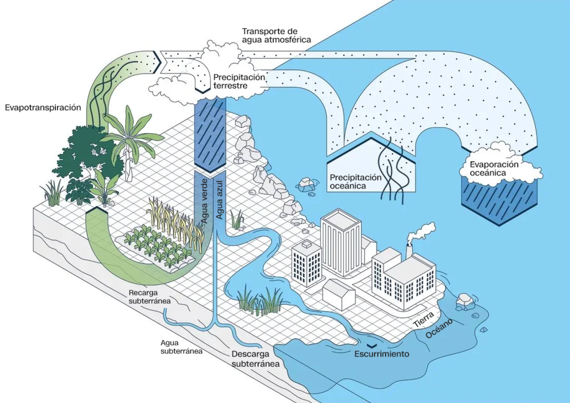 Gráfico que muestra el movimiento del "agua verde" y el "agua azul" en el ciclo global del agua.