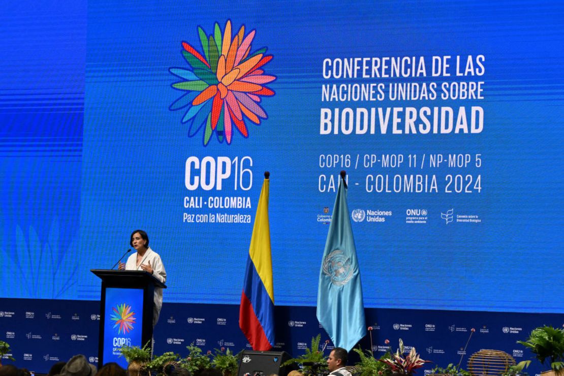 La ministra de Medio Ambiente de Colombia, Susana Muhamad, pronuncia un discurso durante la ceremonia de apertura de la cumbre COP16 en Cali, Colombia, el 20 de octubre de 2024. Crédito: JOAQUIN SARMIENTO/AFP vía Getty Images.