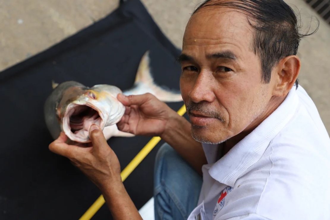 La carpa salmón gigante fue redescubierta en Camboya. Crédito: Chhut Chheana/Maravillas del Mekong.