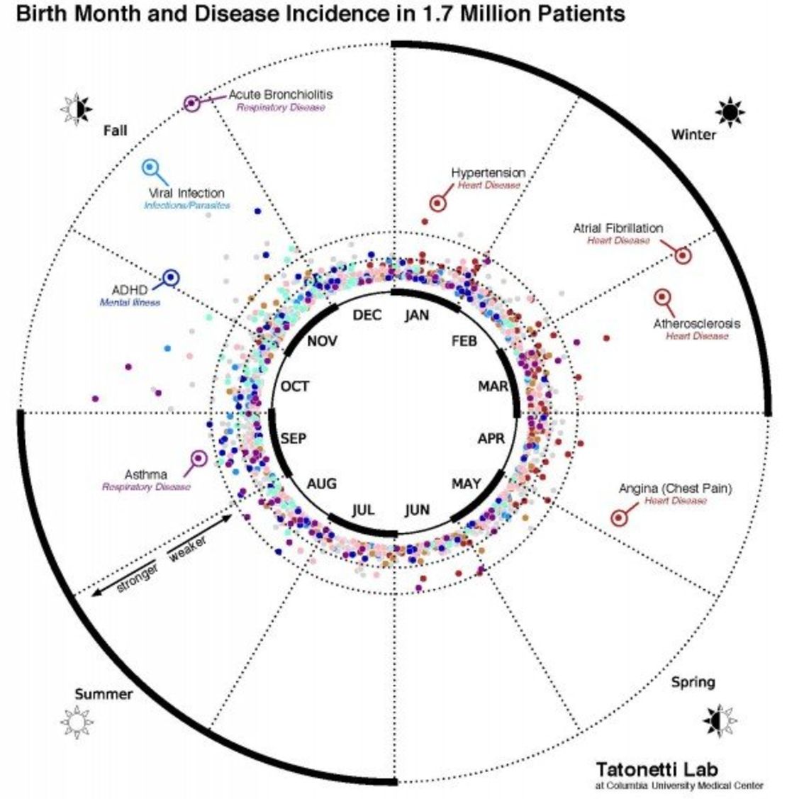 Los datos de visualización estadísticos de esta gráfica muestra la relación entre los meses, las enfermedades y la incidencia de las patologías en la base de datos de 1.7 millones de pacientes de la ciudad de Nueva York.