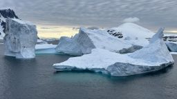 Los majestuosos icebergs, muchos de ellos formados por glaciares de decenas de millones de años de antigüedad, son una de las principales atracciones de la Antártida. Crédito: Jason Evans