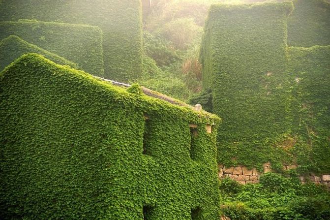 Completamente alejada de la ciudad, se encuentra esta aldea, localizada en Zhoushan, al noreste de la provincia de Zhejiang, en China.