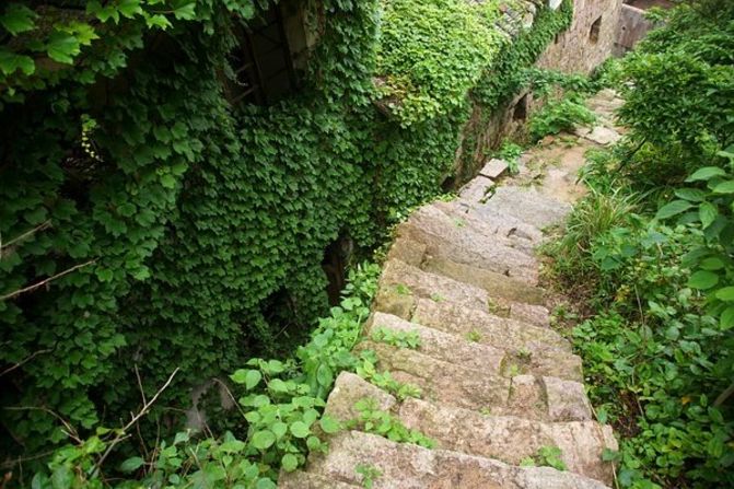 La naturaleza aún permite caminar a través de esta ciudadela, conservando los caminos que fueron recorridos en el pasado por los habitantes de esta isla.