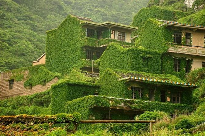 La naturaleza ocupó cada rincón de una ciudad abandonada en China.