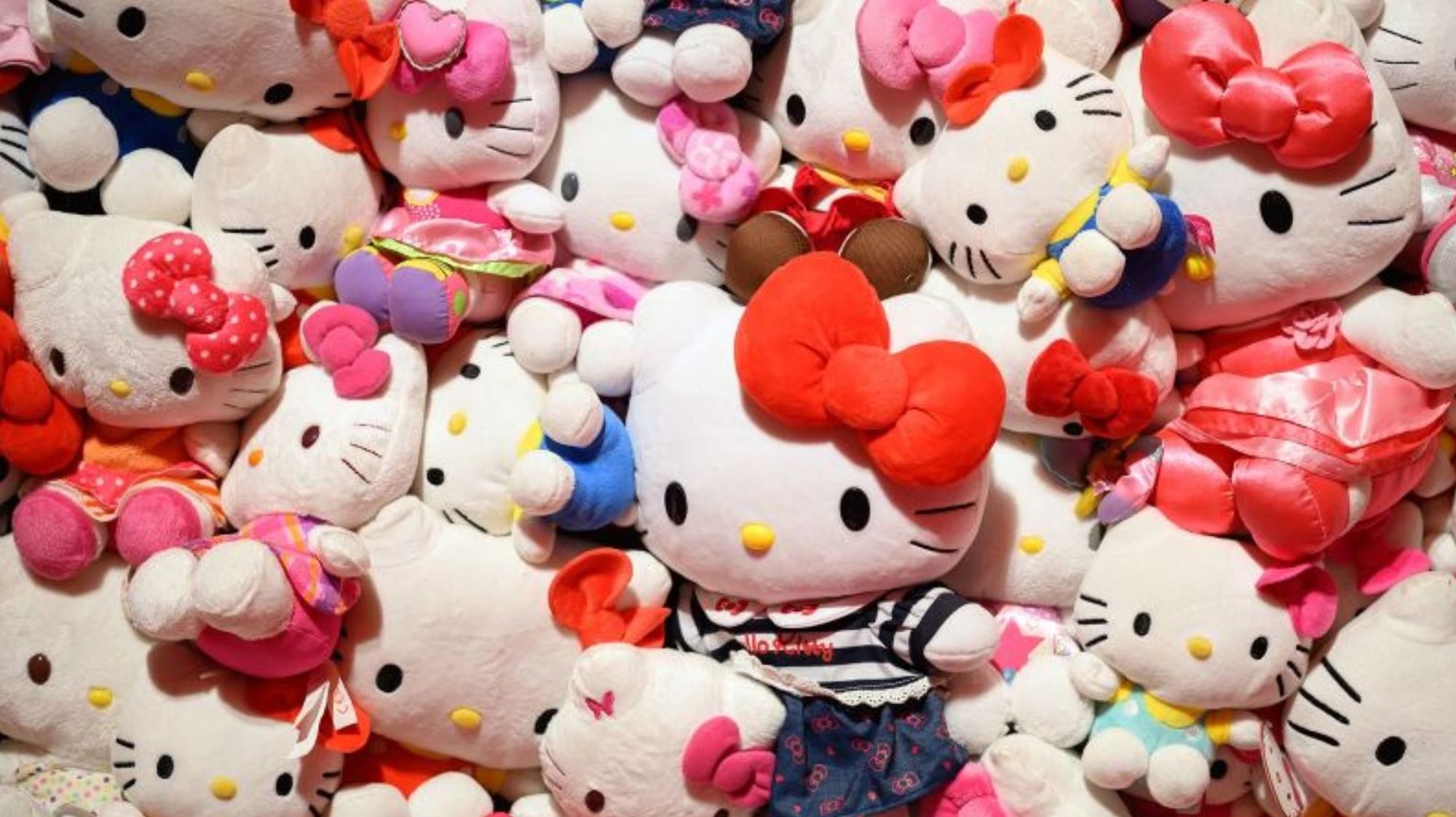 CNNE 1774924 - hello kitty