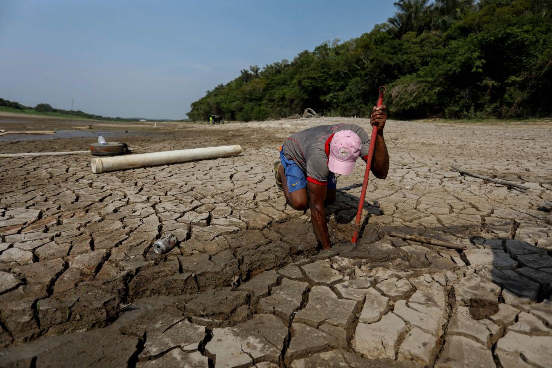 El informe Planeta Vivo de WWF revela drásticas disminuciones en las poblaciones de vida silvestre monitoreadas