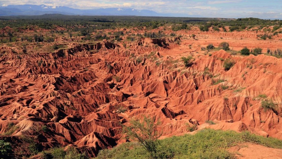 Se cree que el desierto de la Tatacoa en Colombia es el lugar más septentrional conocido de aves del terror en Sudamérica.