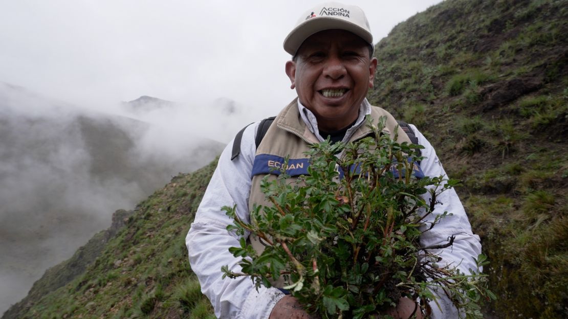 Constantino Aucca Chutas, el 'guerrero' de los Altos Andes, lucha por salvar los bosques con una herramienta poderosa: millones de árboles.