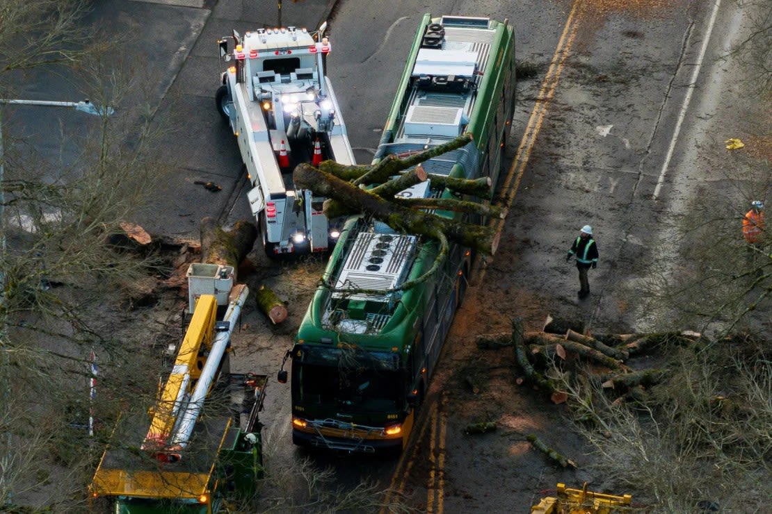 Cuadrillas trabajan para retirar un árbol caído sobre un autobús el miércoles, en Seattle, Washington.