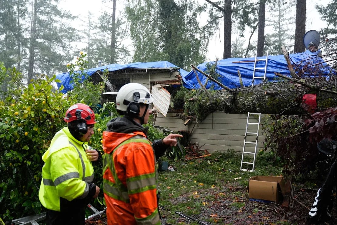 Los equipos de emergencia evalúan los daños causados ​​por un árbol caído en una propiedad en Forestville, California, el jueves.