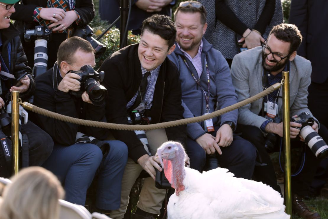 Los fotógrafos toman imágenes del Pavo Nacional de Acción de Gracias "Butter" antes de ser indultado por el entonces presidente Donald Trump en el Jardín de Rosas de la Casa Blanca el 26 de noviembre de 2019 en Washington. Crédito: Chip Somodevilla/Getty Images