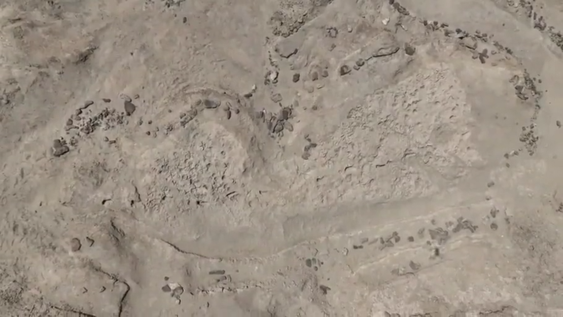 Una vista aérea de Koobi Fora, donde se desenterraron las huellas cerca del lago Turkana en Kenia. Crédito: Louise N. Leakey, Instituto de la Cuenca de Turkana y Universidad de Stony Brook.