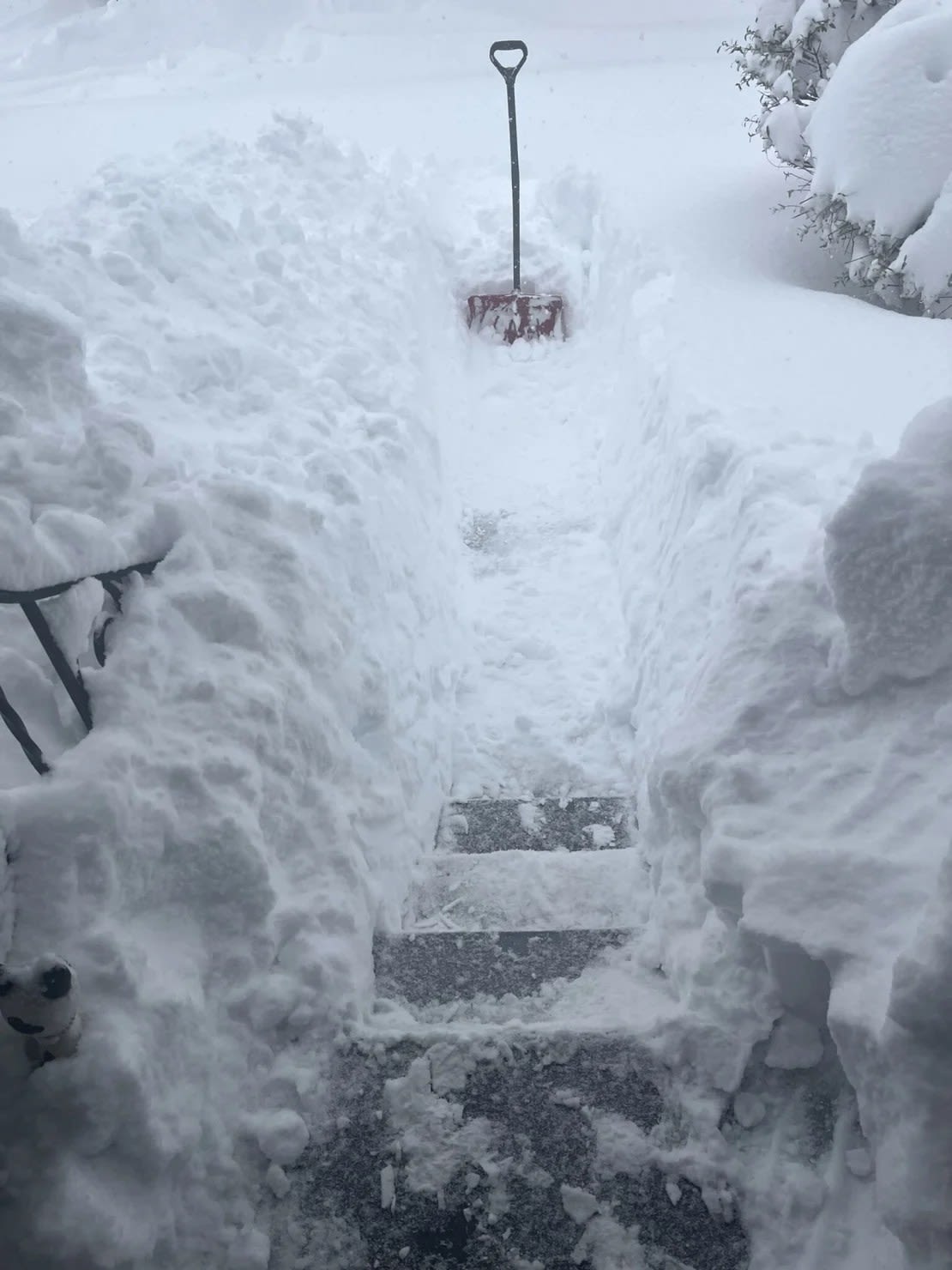 Grandes cantidades de nieve se acumularon en una casa en el condado de Erie, Pensilvania, el sábado por la mañana.