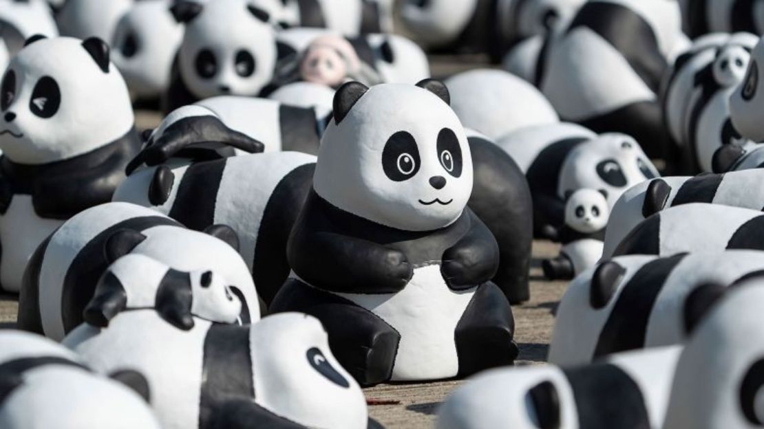 Las esculturas de pandas serán instaladas en varios sitios de Hong Kong. Crédito: Chan Long Hei/AP)