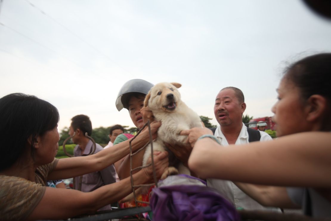 CNNE 180051 - festival carne perro china