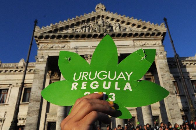 A fines de 2013, el gobierno uruguayo promulgó una ley que legalizó la cannabis y dispuso la aprobación del autocultivo.