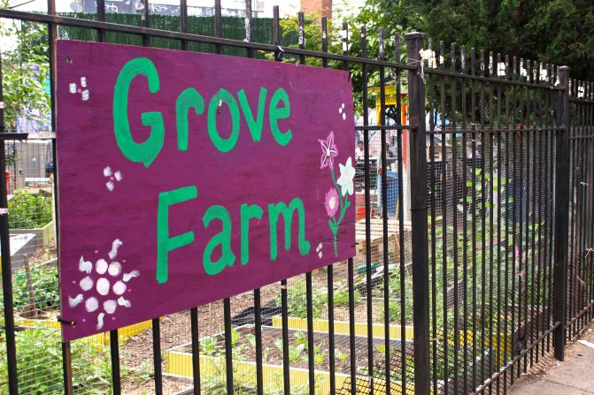 Esta es la granja latina de Brooklyn. Acá inmigrantes hispanos ponen en práctica los conocimientos sobre la vida en campo aprendida en sus países de origen.