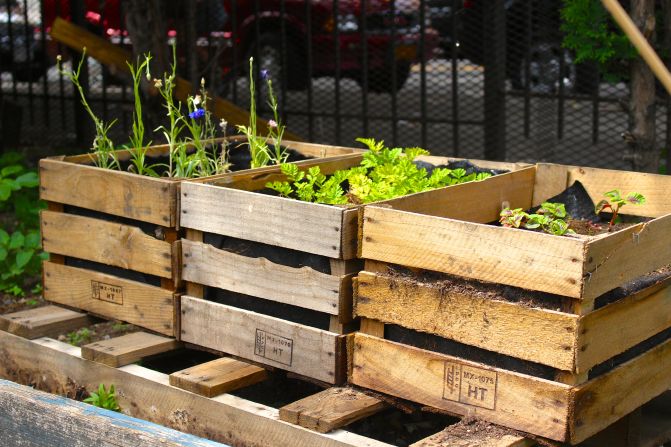 A pesar de estar enclavada en una ruidosa esquina de Brooklyn, de la huerta brotan frutas, legumbres, tubérculos y plantas medicinales orgánicas.