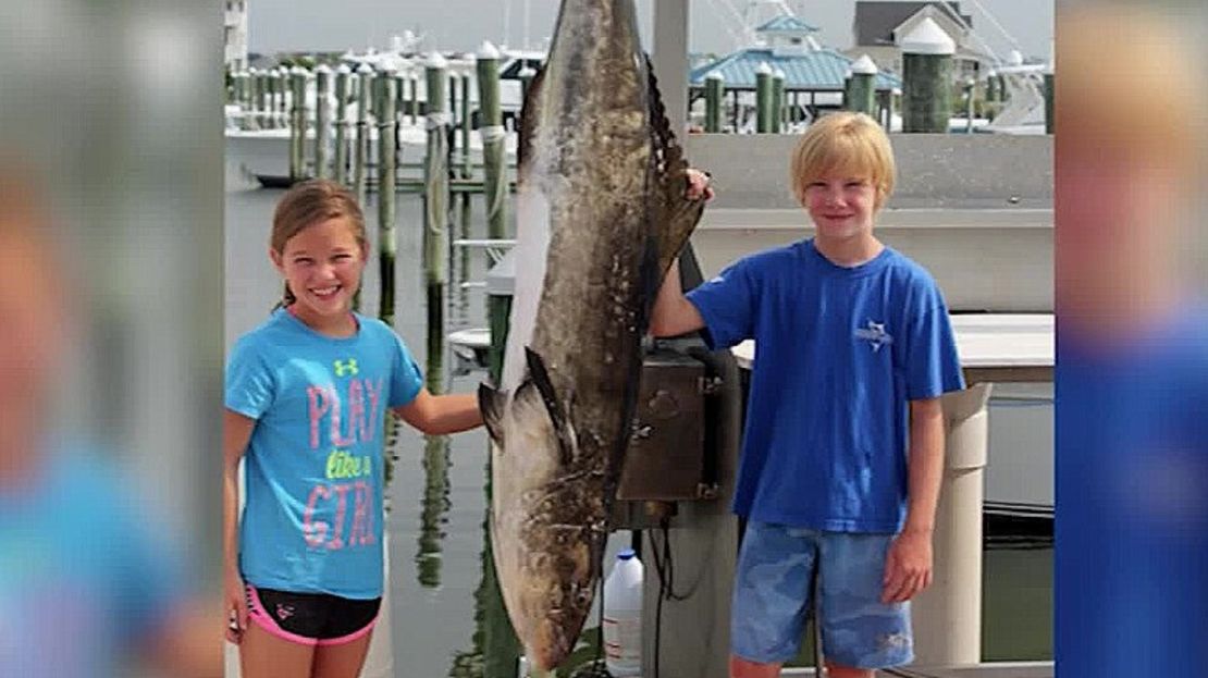 CNNE 19527d2b - 160713032814-maryland-girl-catches-record-breaking-fish-wmdt-pkg-duplicate-2-duplicate-2-00001403-exlarge-169