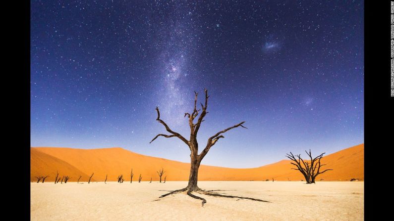 Mención especial: "A night at Deadvlei" por Beth McCarley. "La noche antes de regresar a Windhoek, pasamos varias horas en Deadvlei" en Namibia, dijo McCarley. "La luna estaba lo suficientemente brillante como para iluminar las dunas de arena en la distancia, pero los cielos estaban lo suficientemente oscuros como para ver claramente la Vía Láctea y las Nubes de Magallanes. Dadvlei significa 'pantano muerto'. Se cree que los árboles de espinas de camello tienen más o menos 900 años de edad, pero no se han descompuesto porque el ambiente es tan seco".