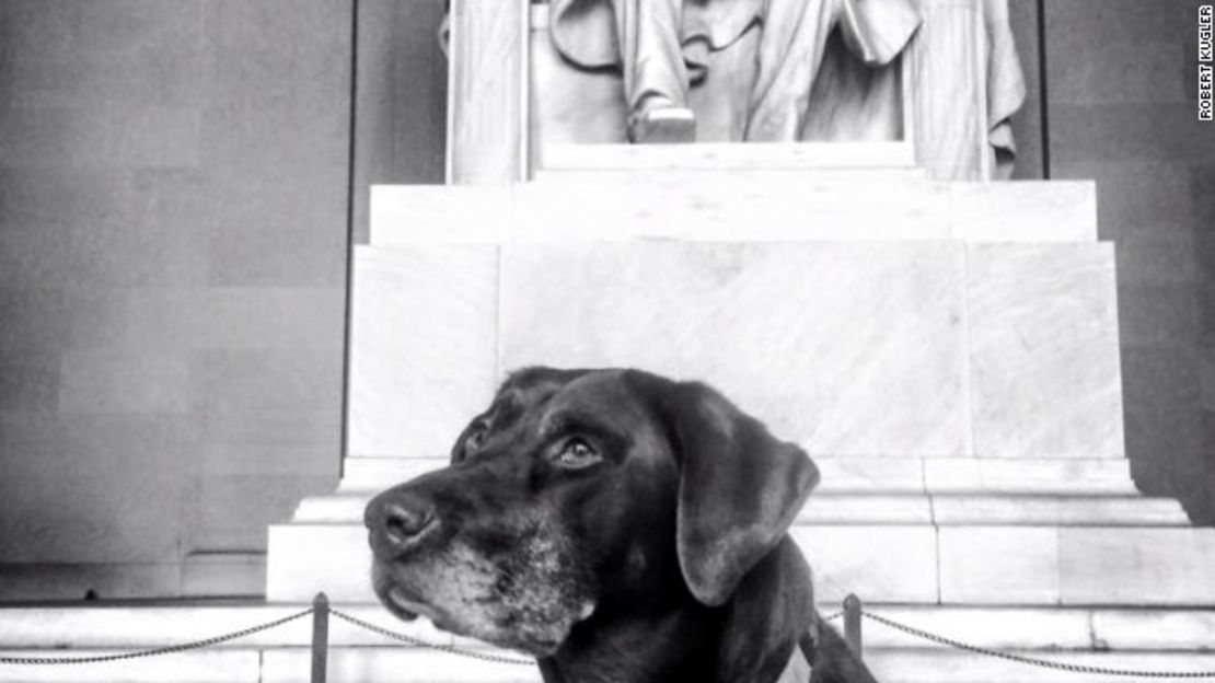 CNNE 1ecdffbe - 160713133331-bella-lincoln-memorial-story-top