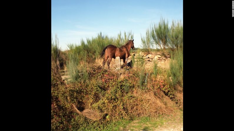 Frontera entre Portugal y España, cerca de Soutelinho da Raia (2010): Las fronteras de Portugal han cambiado muy poco desde el siglo XIII. Sin embargo, está involucrado en dos disputas territoriales con su vecino España; una por la ciudad de Olivença (Olivenza en español) y los Ilhas Selvagens (Islas Salvajes).