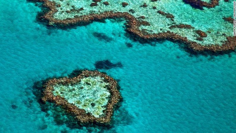 2. Gran Barrera de Coral (Australia) — Con una extensión de 1600 millas de coral, este lugar es un imán para los buceadores por la extensa diversidad marina que tiene: más de 400 diferentes especies que van desde ballenas barbadas hasta espinosos erizos.