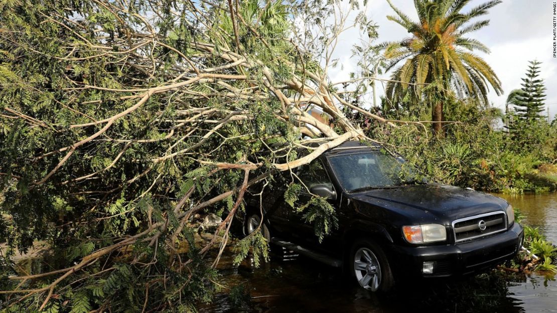 Un auto cubierto por un árbol caído permanece en una carretera inundada la mañana después de que el huracán Irma pasó por Naples (Florida).