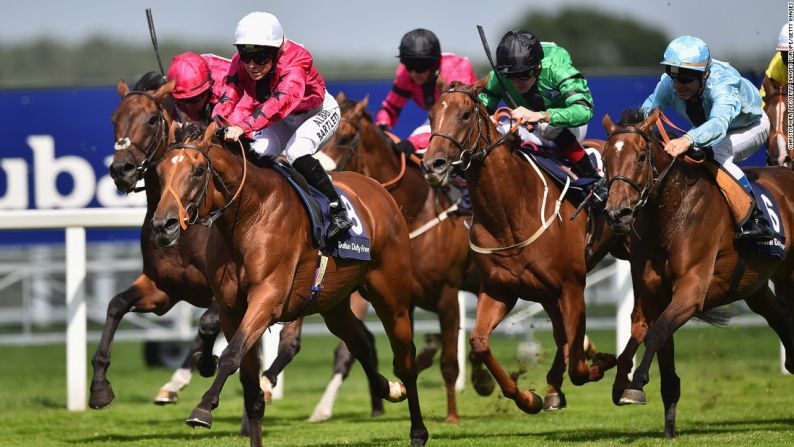 Bell lidera el grupo perseguidor, montando a Shell Bay en la Copa Shergar, en el hipódromo de Ascot, el 8 de agosto del 2015. La chica del condado de Antrim fue la primera jinete aprendiz en participar en el evento de equipos profesionales.