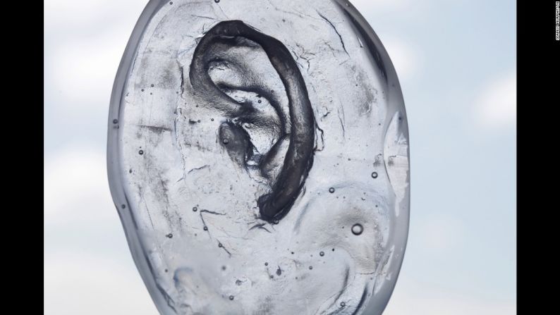 Un molde de vidrio de una oreja.