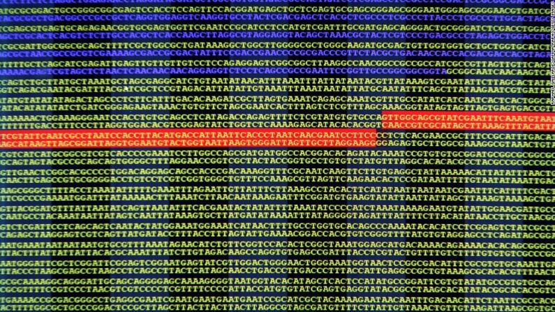 ADN - James Watson y Francis Crick son las personas principalmente relacionadas con el descubrimiento del diseño de doble hélice del ADN, los bloques de construcción hereditarios de la vida, en 1953. Sin embargo, muchos no se dan cuenta de que su descubrimiento se basó en el trabajo de la química británica, Rosalind Franklin, quien pudo utilizar la difracción de rayos X para producir imágenes fotográficas de la molécula. Al ver sus fotografías, sin que ella lo supiera, Watson y Crick hicieron el descubrimiento. Pasaron otros 50 años antes de que se trazara todo el genoma humano.