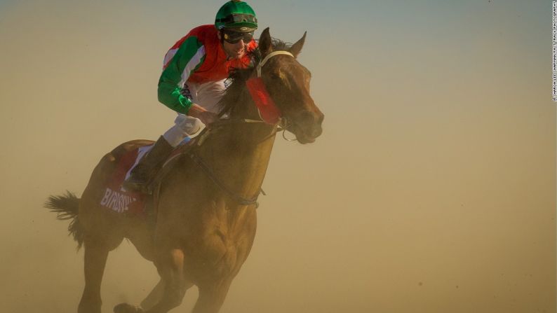 Clientes famosos - El entrenador de Black Caviar, Peter Moody, asistió este año, y llevó a cuatro caballos de competir... pero ninguno en la Copa Birdsville. "Las carreras de Birdsville son unas de las carreras más icónicas del mundo, no solo de Australia", dijo.