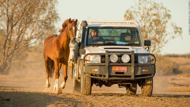 Caballo de fuerza - Propietarios de caballos y entrenadores de todas partes de Australia hacen el viaje anual al evento que ha sido descrito como la Copa Melbourne del interior. Ubicado cerca de la frontera de Queensland y el Sur de Australia, Birdsville se encuentra a 1.500 kilómetros al oeste de Brisbane. El viaje en auto de Chapman fue una maratón de 26 horas. "Conducir hacia el pueblo después de estar en la pista durante un día es surreal", explica. "Te preguntas de dónde salieron todas estas personas después de ver relativamente pocos autos en la pista".