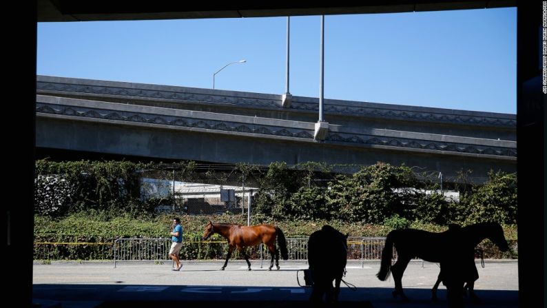 Aquí dirigen a los caballos a los establos temporales que se encuentran afuera del centro de convenciones.