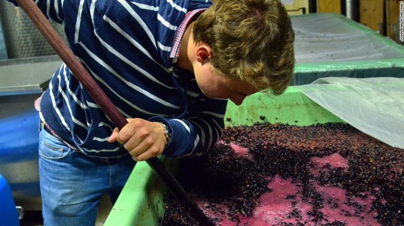 Negocio familiar — Hans-Christian Stolleis, de 23 años de edad, trabaja en la viña de su familia, la cual alguna vez había producido vinos por designación de la Corte de Baviera y ahora cultiva, entre otros, una variedad poco común de Auxerrois... una versión ligeramente más dulce de la variedad Pinot Blanc