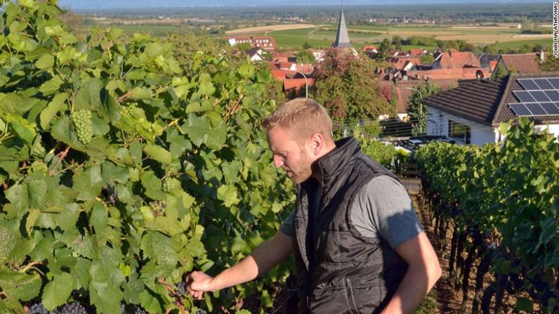Nueva generación — Con 37 años de edad, Andreas Grimm es uno de una nueva generación más joven de productores de vinos de la región. Su familia posee viñedos en Schweigen.