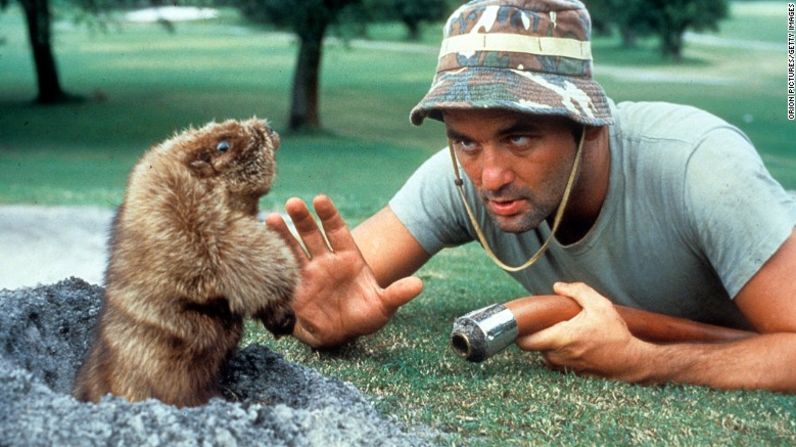 "En las palabras inmortales de Jean Paul Sartre, 'Au revoir, gopher". Bill Murray, cara a cara con una marmota americana, en una escena de la película ‘Caddyshack’.