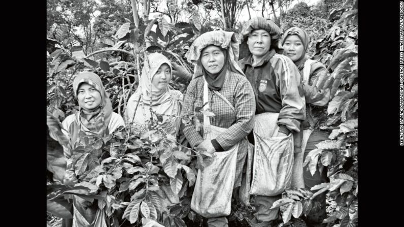 Recolectores de café fotografiados en una plantación familiar en la isla indonesia de Sumatra en el 2014.